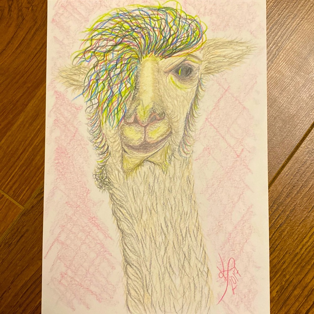 Unframed Original Character Art Illustration in Pencil Crayon Drama Llama